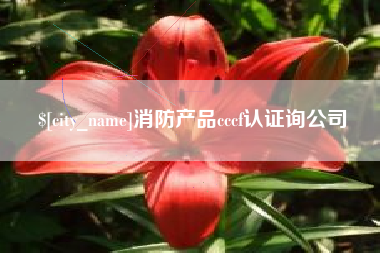 沙洋消防产品cccf认证询公司