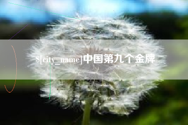 沙洋中国第九个金牌
