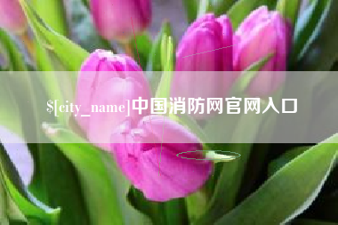 沙洋中国消防网官网入口