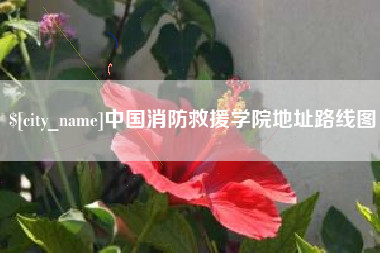 沙洋中国消防救援学院地址路线图