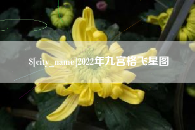 沙洋2022年九宫格飞星图