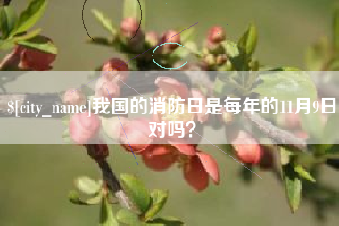 沙洋我国的消防日是每年的11月9日对吗？