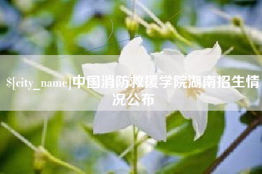 沙洋中国消防救援学院湖南招生情况公布