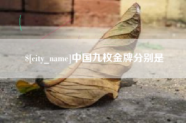 沙洋中国九枚金牌分别是