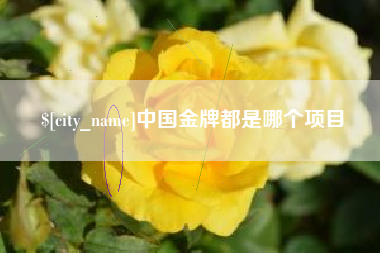 沙洋中国金牌都是哪个项目