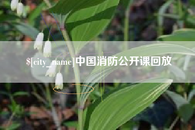 沙洋中国消防公开课回放