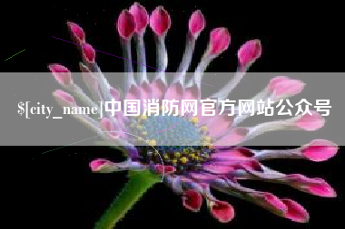 沙洋中国消防网官方网站公众号