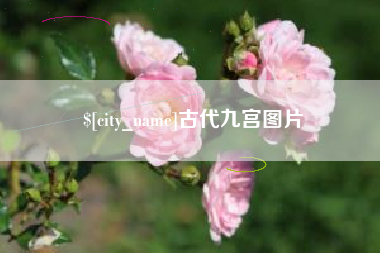 沙洋古代九宫图片