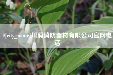 沙洋川消消防器材有限公司官网电话