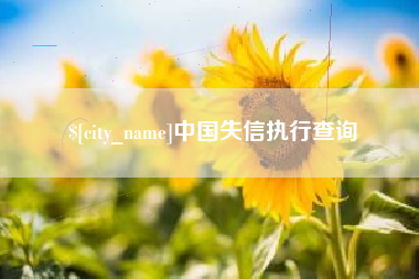 沙洋中国失信执行查询