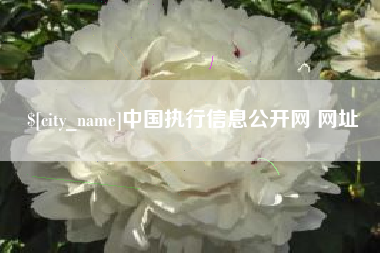 沙洋中国执行信息公开网 网址
