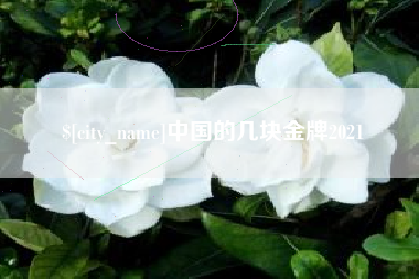 沙洋中国的几块金牌2021