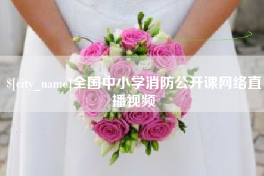 沙洋全国中小学消防公开课网络直播视频
