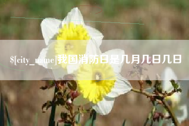 沙洋我国消防日是几月几日几日