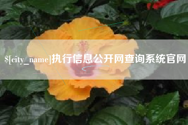 沙洋执行信息公开网查询系统官网