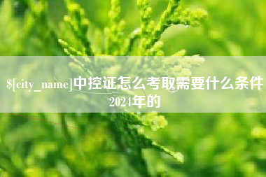 沙洋中控证怎么考取需要什么条件2024年的