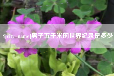 沙洋男子五千米的世界纪录是多少