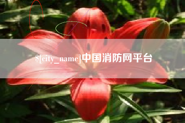 沙洋中国消防网平台