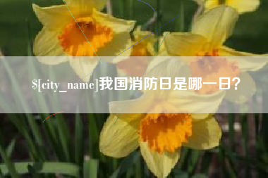 沙洋我国消防日是哪一日？