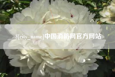 沙洋中国消防网官方网站