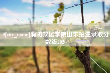 沙洋消防救援学院山东招生录取分数线2020