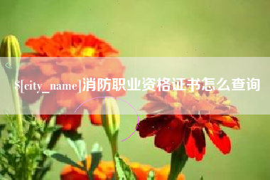 沙洋消防职业资格证书怎么查询