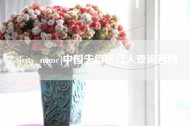 沙洋中国失信执行人查询官网