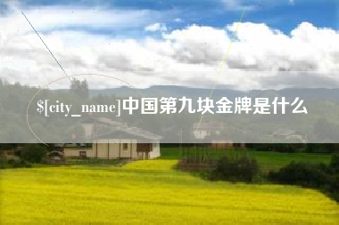 沙洋中国第九块金牌是什么