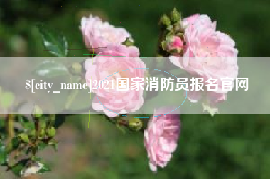 沙洋2021国家消防员报名官网