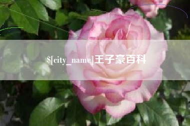 沙洋王子豪百科