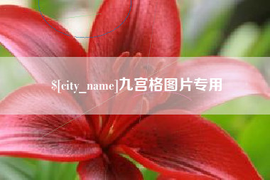 沙洋九宫格图片专用
