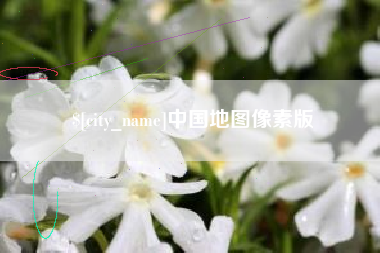 沙洋中国地图像素版