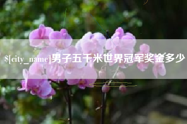 沙洋男子五千米世界冠军奖金多少