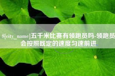 沙洋五千米比赛有领跑员吗-领跑员会按照既定的速度匀速前进