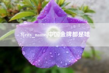 沙洋中国金牌都是啥