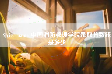 沙洋中国消防救援学院录取分数线是多少