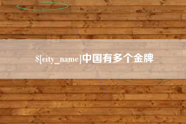 沙洋中国有多个金牌