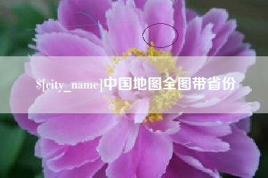 沙洋中国地图全图带省份