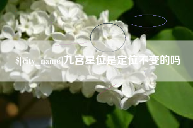 沙洋九宫星位是定位不变的吗