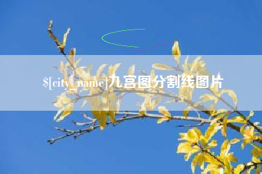 沙洋九宫图分割线图片