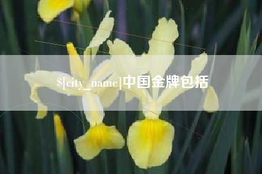 沙洋中国金牌包括