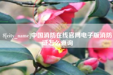 沙洋中国消防在线官网电子版消防证怎么查询