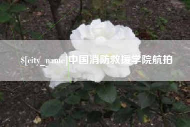 沙洋中国消防救援学院航拍