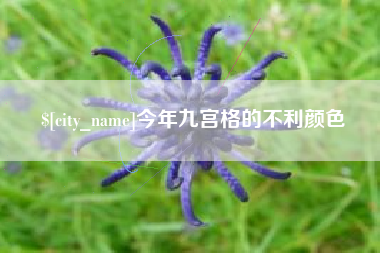 沙洋今年九宫格的不利颜色