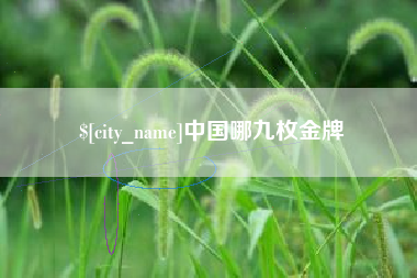 沙洋中国哪九枚金牌