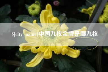 沙洋中国九枚金牌是哪九枚