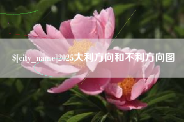 沙洋2025大利方向和不利方向图