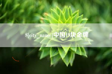 沙洋中国19块金牌