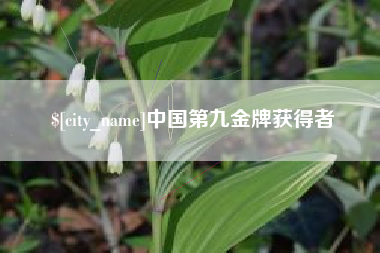 沙洋中国第九金牌获得者