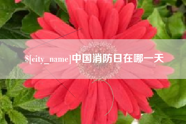 沙洋中国消防日在哪一天